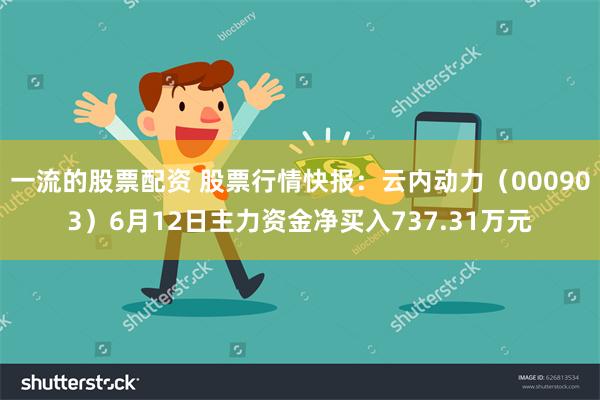 一流的股票配资 股票行情快报：云内动力（000903）6月12日主力资金净买入737.31万元