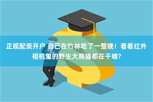 正规配资开户 自己在竹林吃了一整晚！看看红外相机里的野生大熊猫都在干啥?