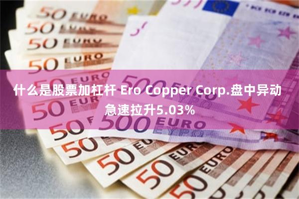 什么是股票加杠杆 Ero Copper Corp.盘中异动 急速拉升5.03%