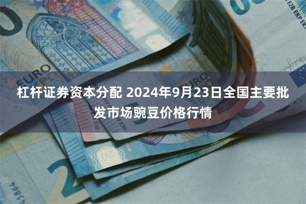 杠杆证券资本分配 2024年9月23日全国主要批发市场豌豆价格行情