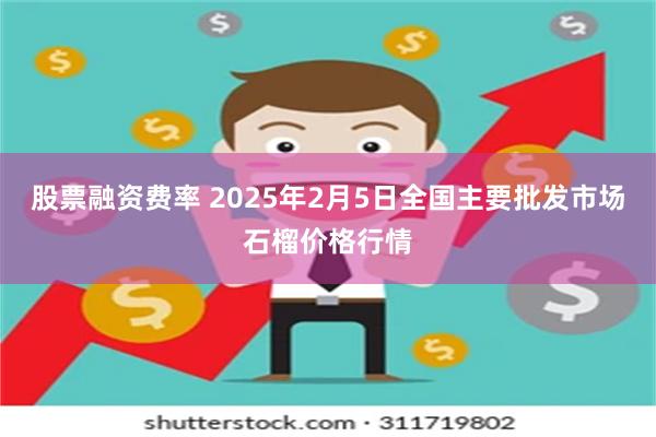 股票融资费率 2025年2月5日全国主要批发市场石榴价格行情