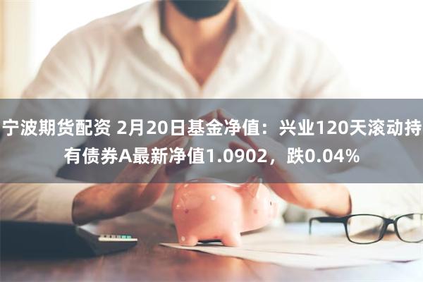 宁波期货配资 2月20日基金净值：兴业120天滚动持有债券A最新净值1.0902，跌0.04%